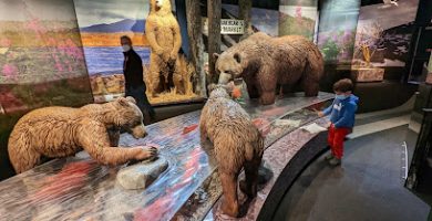 Kodiak National Wildlife Refuge Visitor Center