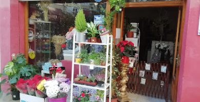 Floristería La Favorita S.L