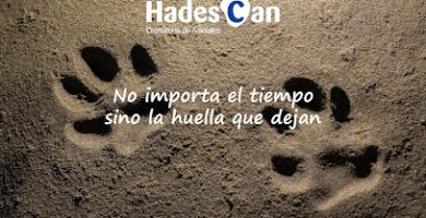 Hadescan Crematorio de Animales S.L.