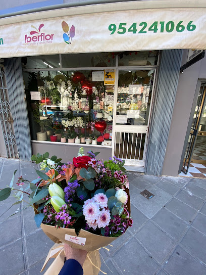 Iberflor - Floristería en Sevilla