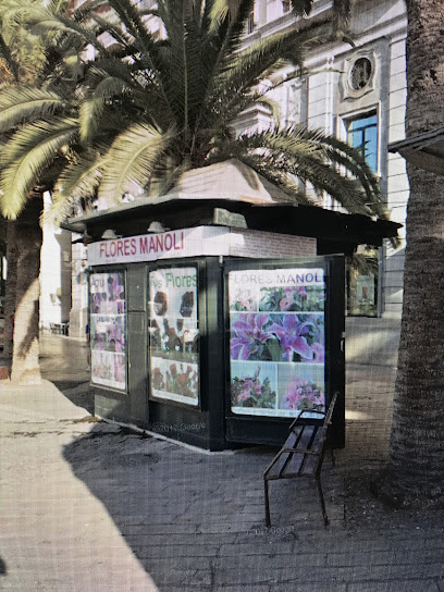 Floristería Flores Manoli - plaza de la marina 4