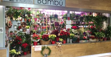 Bambú Floristería