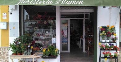 Floristería Blumen Mairena