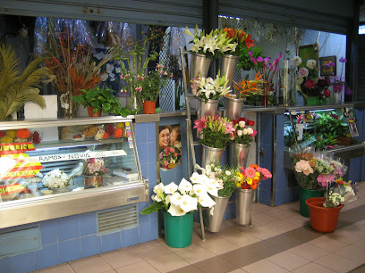 Floristería Goyo