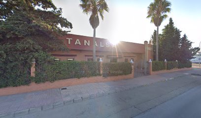 Tanalsa